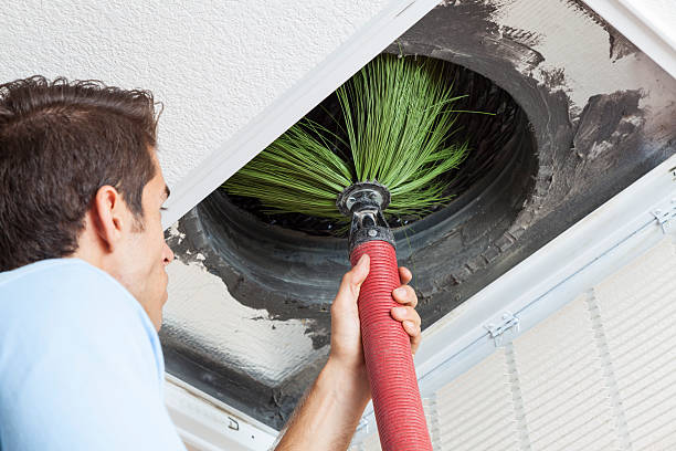 Best Dryer Vent Cleaning Services  in Windermere, FL